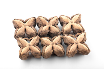 Star Bean Inca isolate on white background.