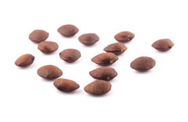 Star Bean Inca isolate on white background.