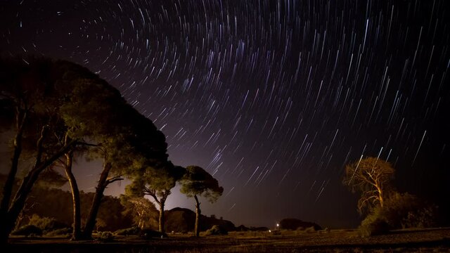 Time lapse of Star trails over the pine trees in the night sky. Stars move around a polar star. 4K