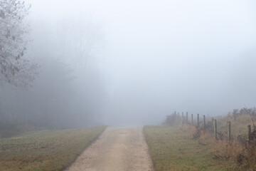 Straight road through mist to forest with ghostly trees in distance feeling lost