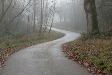 Curved road through mist in forest with ghostly trees in distance feeling lost