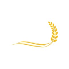 Wheat logo template and grain spikes icons design