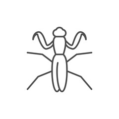 Mantis line outline icon or insect concept