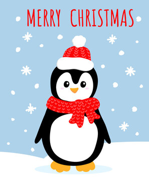 Cute greeting postcard with penguin in knitted red scarf and cap in cartoon style. With Merry Christmas text. On blue background with snowflakes. Vector illustration