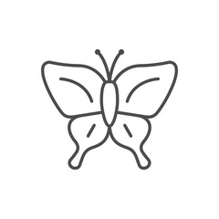 Butterfly line outline icon or insect concept