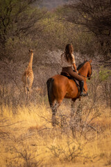 Brunette on horseback watches baby southern giraffe