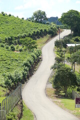 country road in Vale dos Vinhedos, Rio Grande do Sul
