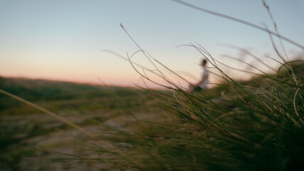 Obraz premium sunset in the field