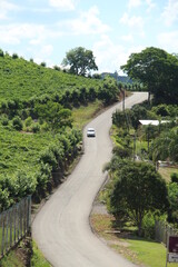 country road in Vale dos Vinhedos, Rio Grande do Sul