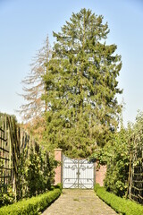 Le chemin principal avec sa pièce d'eau octogonal vers un arbre majestueux  au potager du parc Tournay-Solvay à Watermael-Boitsfort