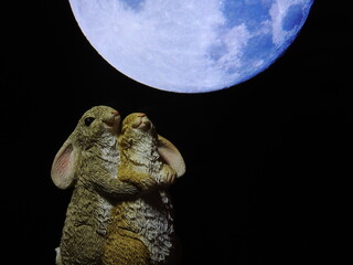 お月見をするウサギ達