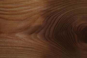 Wooden background. Beautiful wood texture. Empty space