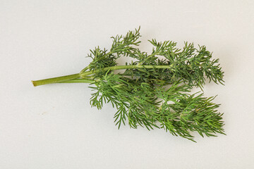 Aroma seasoning - Green Dill branch
