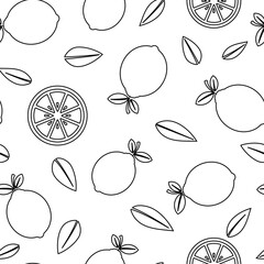 Lemon full, slices and leaves outline, sketch drawing vector illustration, black over white