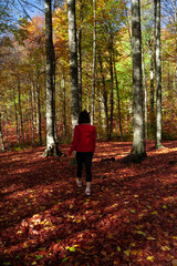 Young woman is running in the forest in autumn. Sports and recreation lifestyle.