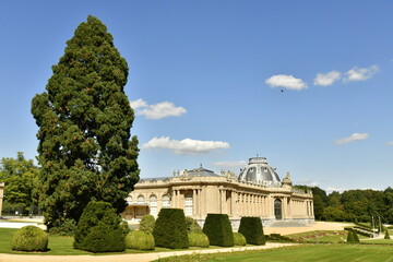 Obraz premium Le séquoia géant à côté de l'imposant Musée National de l'Afrique Centrale à Tervuren