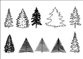 Set of fur trees (silhouettes).