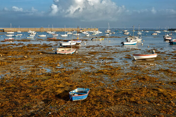 Marina at low tide with a lot of wrack in Penmarch, a commune in the Finistère department of...