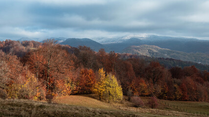 Amazing fall  landscape with colored trees and frost in the morning 