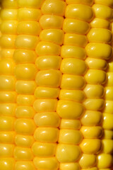 Corn detail