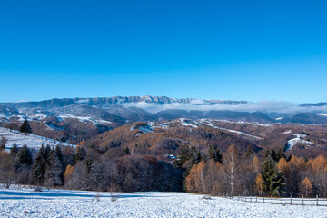 Obraz premium Amazing autumn winter landscape at the mountains base with colored trees