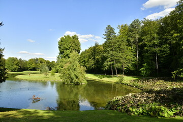 Fototapeta premium L'un des étangs en plein bois au parc de Tervuren à l'est de Bruxelles 
