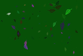 Light Multicolor, Rainbow vector doodle background.