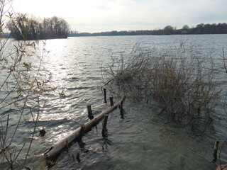 lake in winter