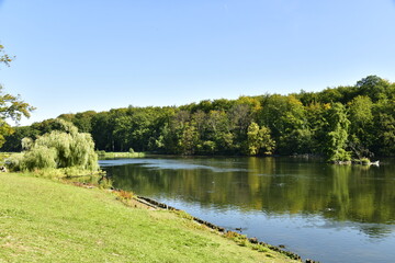 Les berges érodées de l'Etang du Château au parc de Tervuren à l'est de Bruxelles