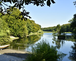 La végétation luxuriante à l'étang du Château au parc de Tervuren à l'est de Bruxelles
