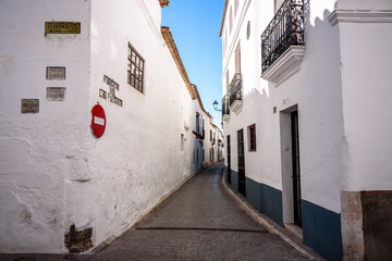 Fototapeta na wymiar view of typical street in andalucia. spain