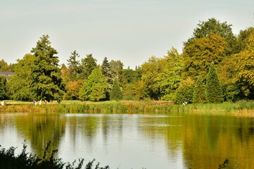 Les couleurs des feuillage au début de l'automne le long des étangs du parc de Tervuren à l'est de Bruxelles 