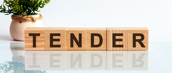 Tender motivation text on wooden blocks business concept white background. Front view concepts, flower in the background.