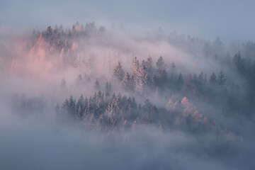 Winter morning in the mountains. Sunlight, trees, fog. Freezing conditions yes very beautiful, romantic and peaceful. Cold morning. Warm tones in contrast of snow covered trees.