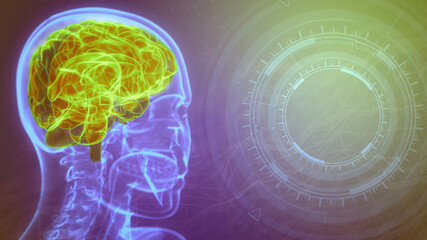 Medical 3D illustration background - roentgen human head image with highlighted brain and empty space on the right for your hi-tech images