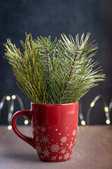 Fir or pine tree evergreen branches with needles in red christmas cup on dark brown wooden table in home interior against black background with defocus garland yellow lights. Vertical orientation