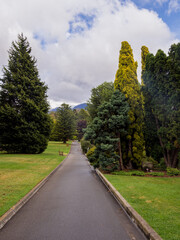 Impressive gardens at Tasmanian botanic gardens, Tasmania, Australia
