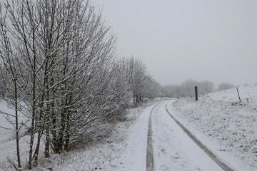 Obraz premium Winter landscape with trees covered in white snow
