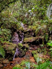 hiking, water and mountains of the world
senderismo, agua y monta&ntilde;as del mundo