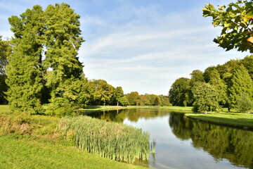 Variété d'arbres dont certains majestueux autour d'un des étangs du parc de Tervuren à l'est de Bruxelles