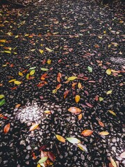 hiking, water and mountains of the world
senderismo, agua y monta&ntilde;as del mundo