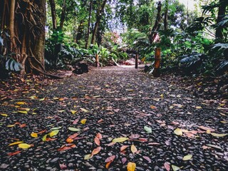 hiking, water and mountains of the world
senderismo, agua y monta&ntilde;as del mundo