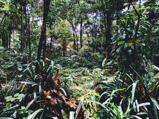 hiking, water and mountains of the world
senderismo, agua y monta&ntilde;as del mundo