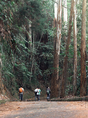 hiking, water and mountains of the world
senderismo, agua y monta&ntilde;as del mundo