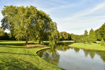 Fototapeta na wymiar Variété d'arbres dont certains majestueux autour d'un des étangs du parc de Tervuren à l'est de Bruxelles