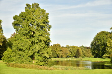 Variété d'arbres dont certains majestueux autour d'un des étangs du parc de Tervuren à l'est de Bruxelles