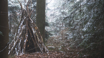 Drewniany szałas w mglistym lesie zimą 