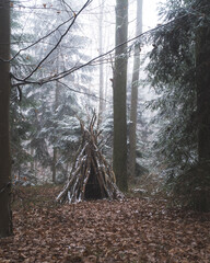 Drewniany szałas w mglistym lesie zimą  © Jakub