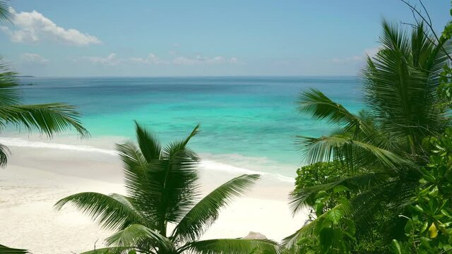 Beautiful ocean view from a high place against the background of blue sky and exotic palm trees. Timelaps