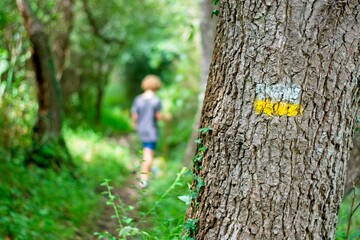 blurry kid in the summer hiking along a white and yellow route marked on a tree